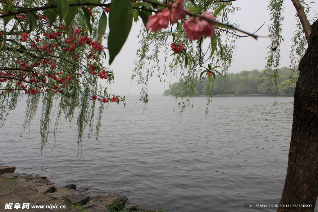 西湖水景