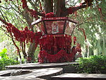 许愿树