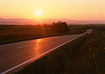 夕阳下的路