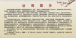 钢构公司简介