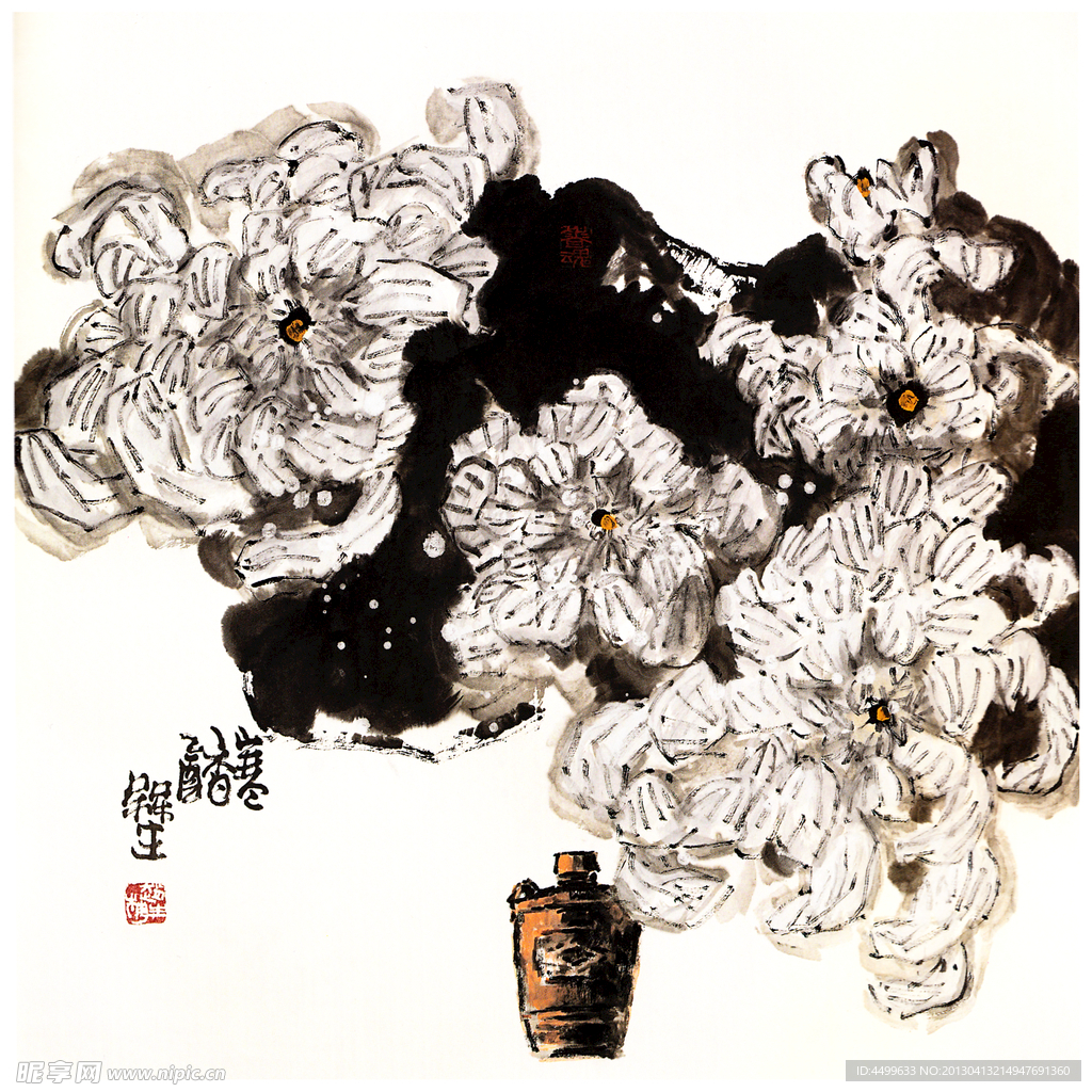 荷花