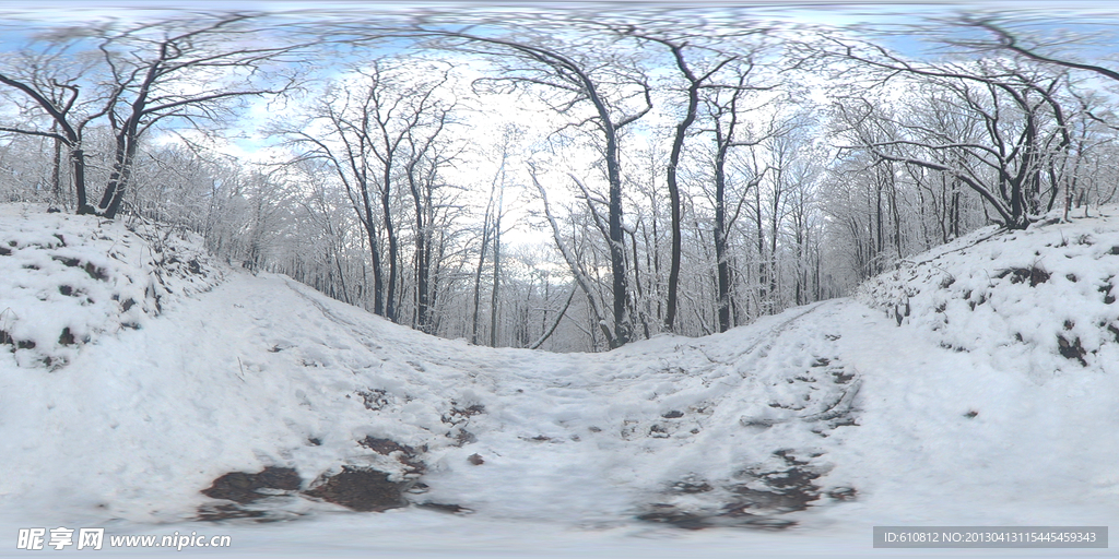 雪景