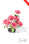 红色鲜花