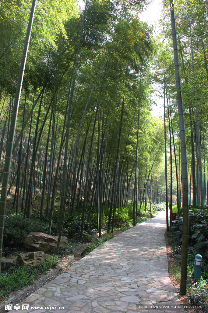 江苏宜兴竹海风景区