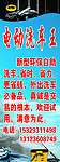 电动洗车王