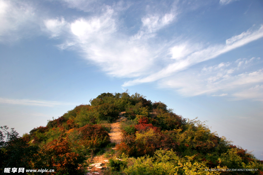 五指山