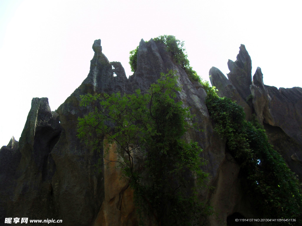 石林风景