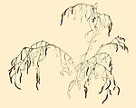 白描花卉