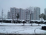 雪景