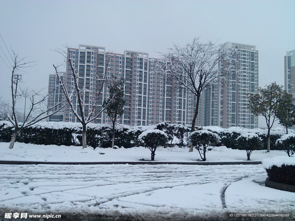 雪景