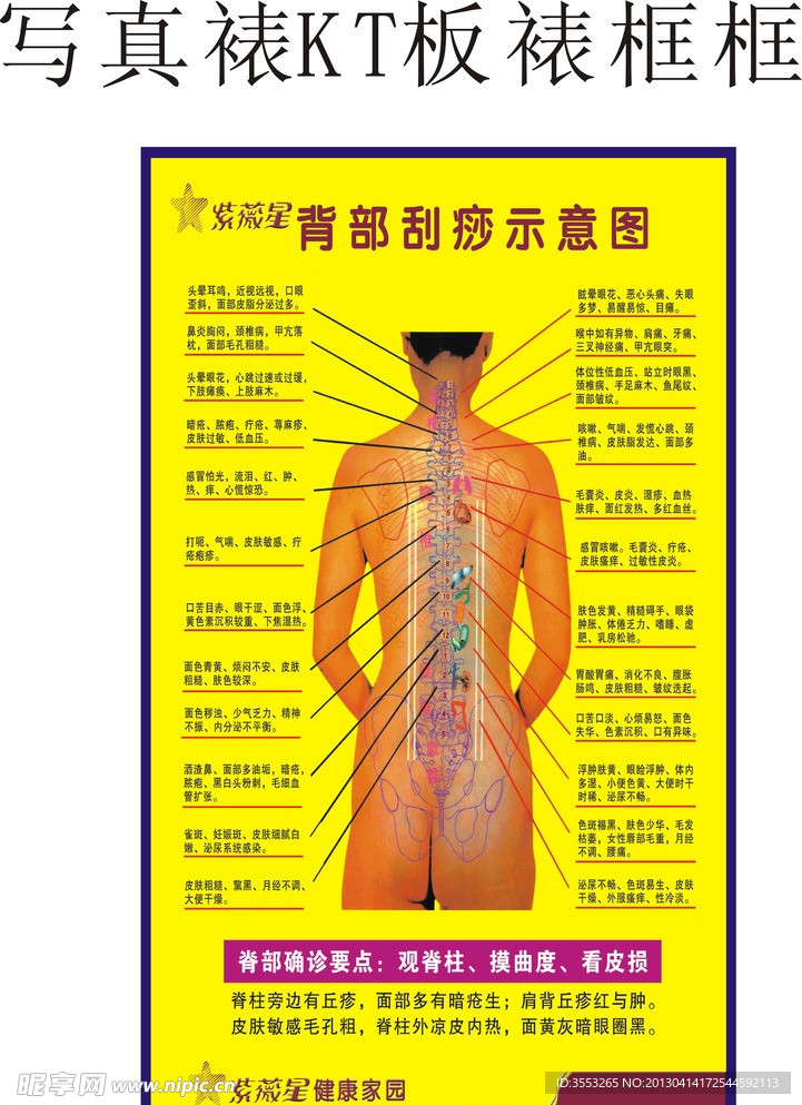 背部穴位图