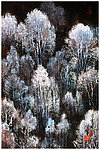风景装饰画