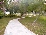 公园美景