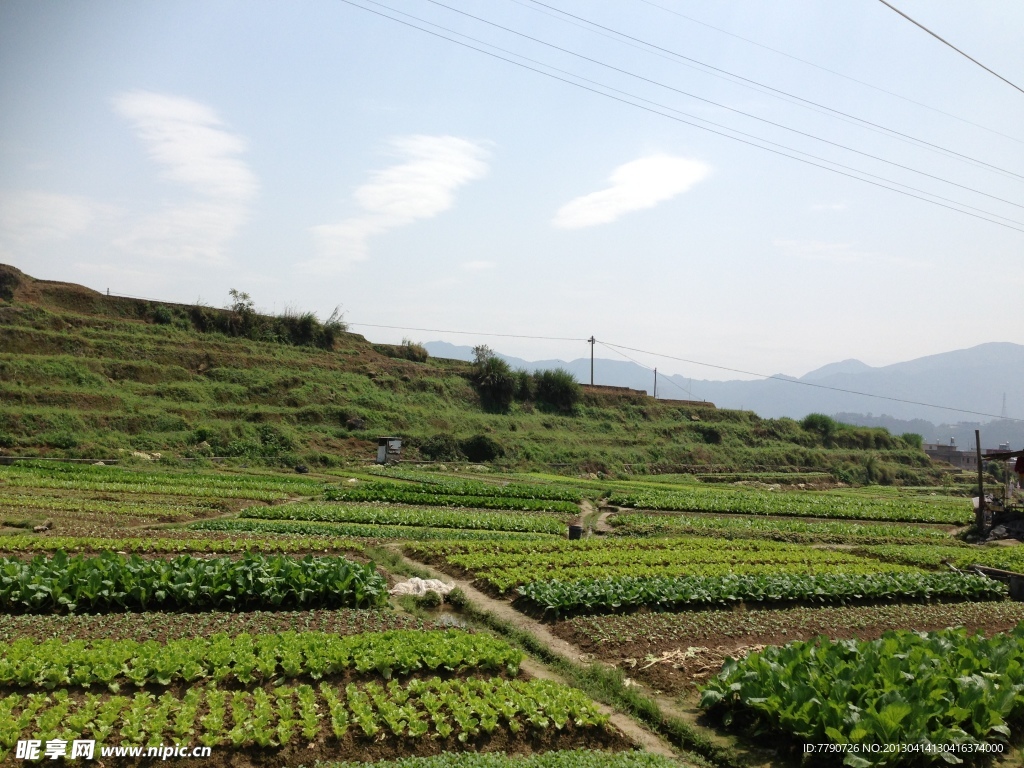 闽南梯田风光