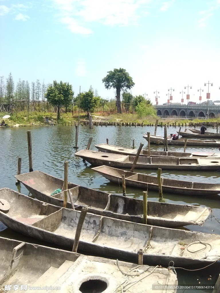 湿地公园小船