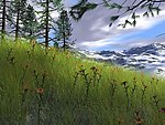 草地风景画