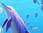 海底世界