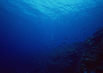 海底世界