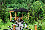 木屋度假村夏景