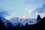 雪山金项