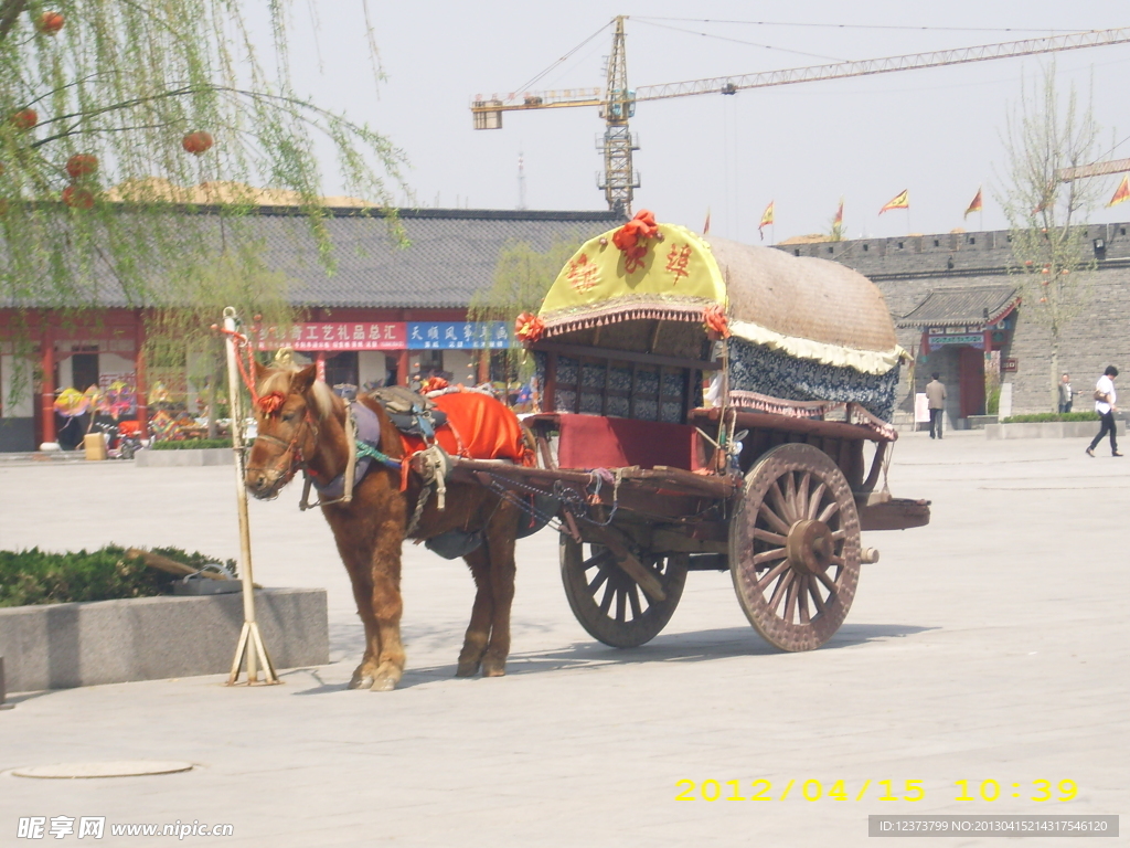 杨家埠 观光马车