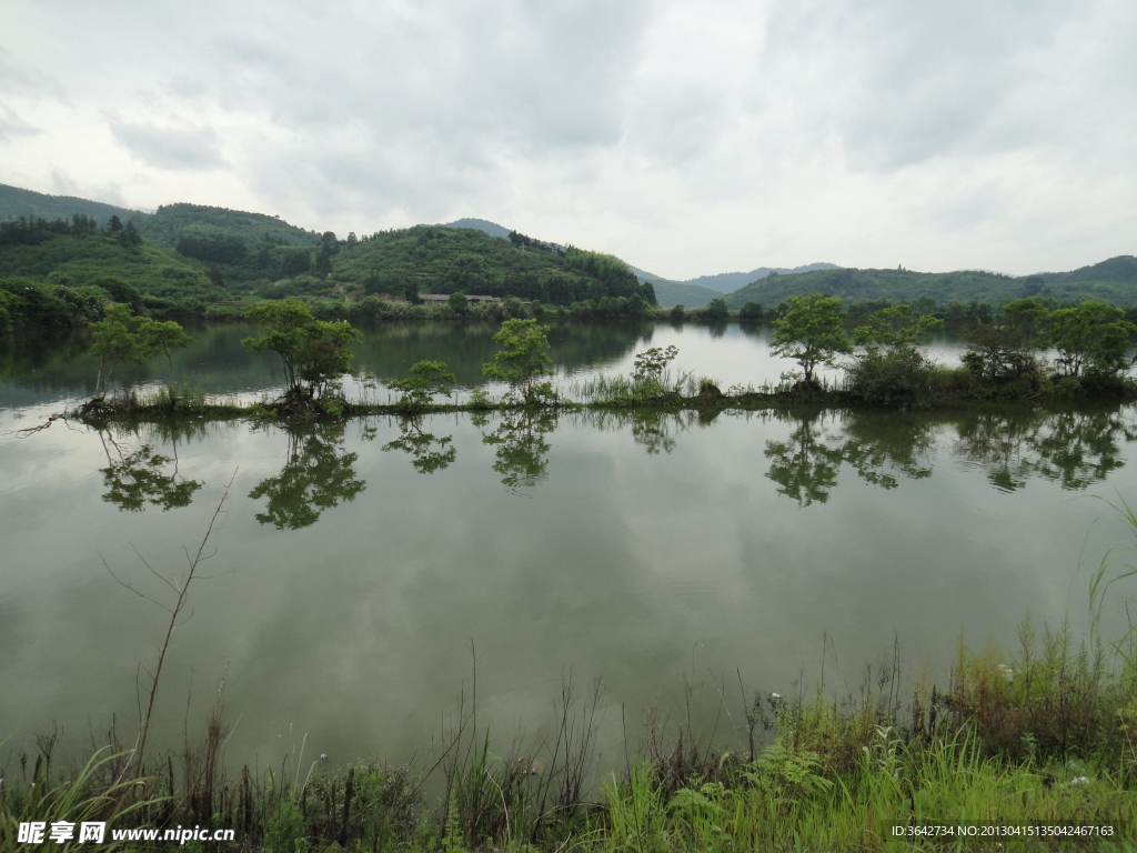 池塘风景