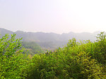 青山