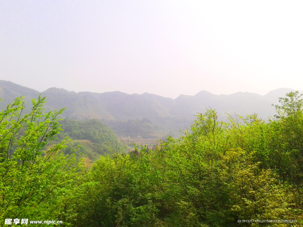 青山