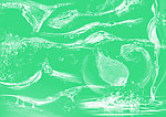 水波纹