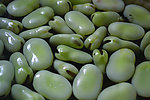 豆子