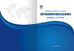 2013形势报告封面