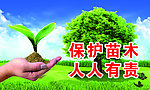 环境保护展板