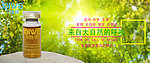 胶原蛋白