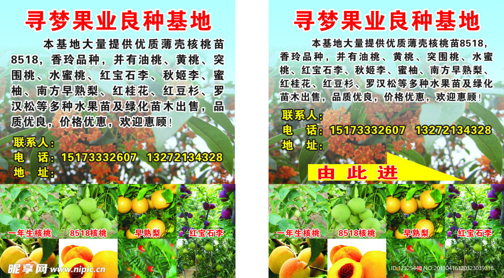 寻梦果业良种基地