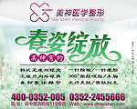 春姿绽放