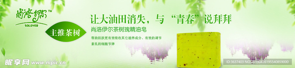 充实 皂 绿叶花