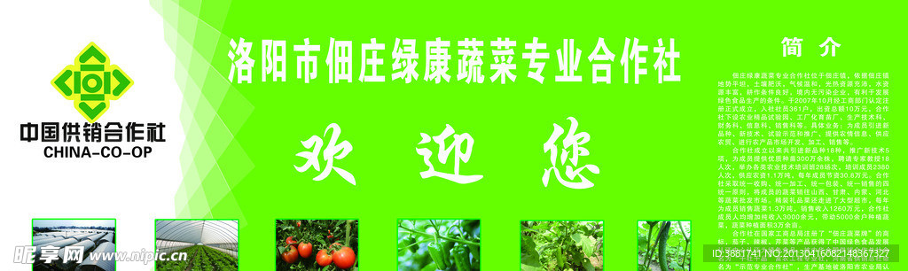 蔬菜专业合作社海报