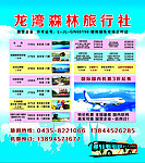 龙湾森林旅行社