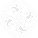 鲤鱼戏莲圆挂匾