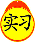 汽车实习标志