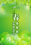 春姿绽放