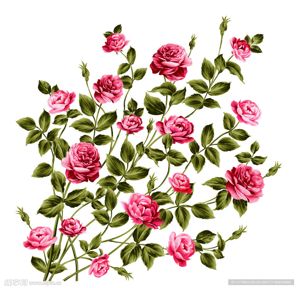 鲜花抠图