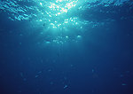 海洋海底光线