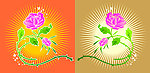 玫瑰花