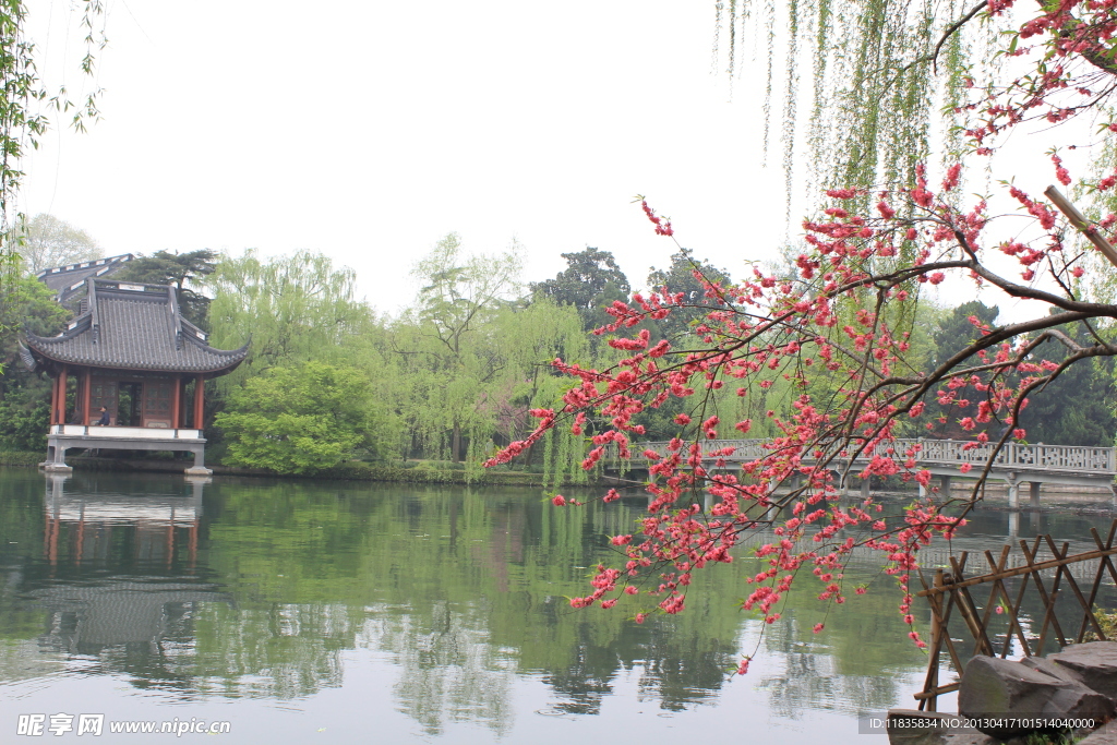 西湖美景