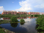 坝北夏天风景