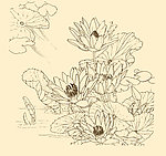 白描花卉