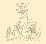 白描花卉