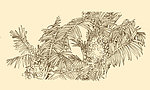 白描花卉