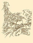 白描花卉
